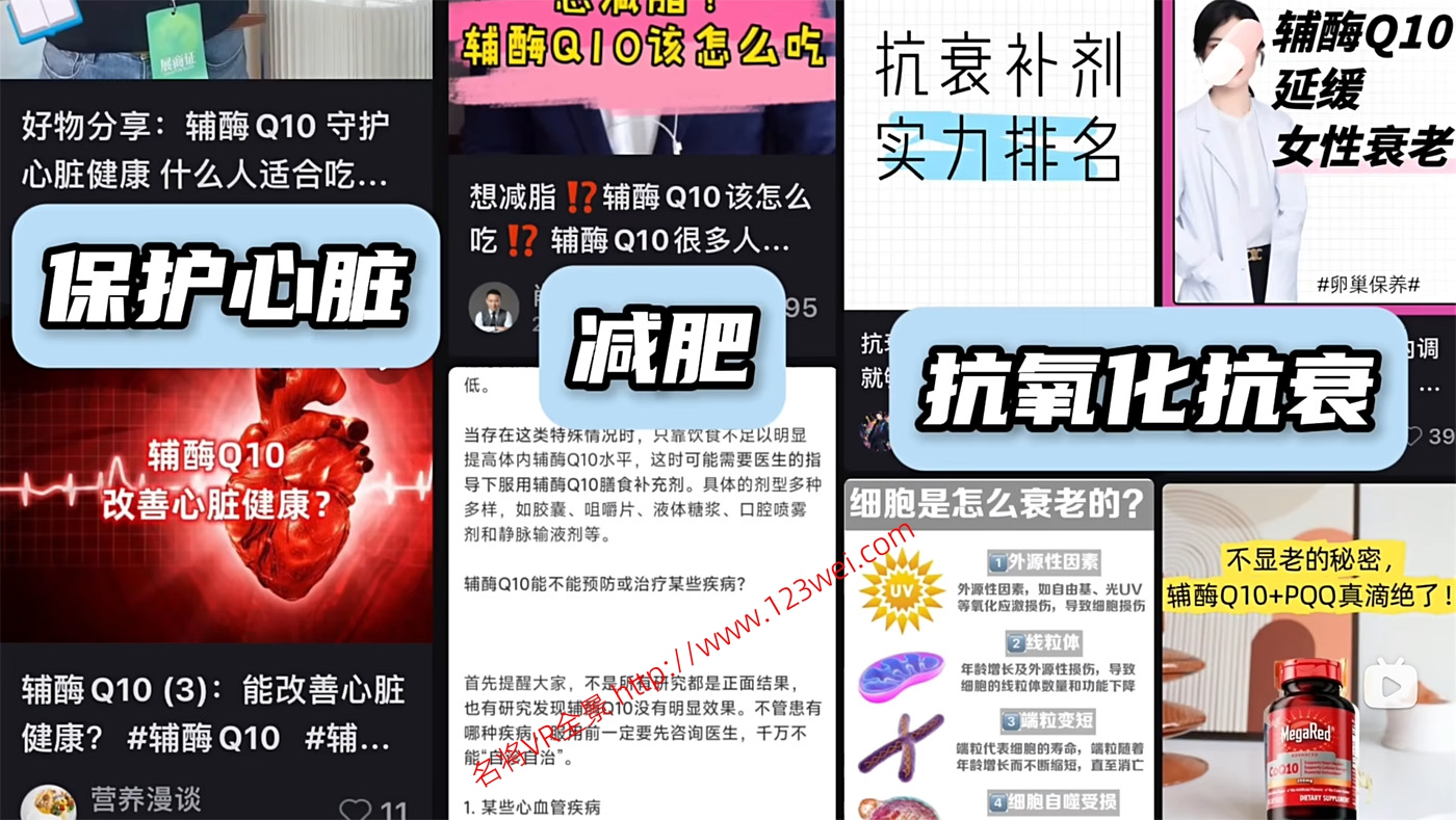 值得推荐：熬夜党、久坐党如何养护心脏？辅酶Q10的机制是什么？-名将VR全景博客