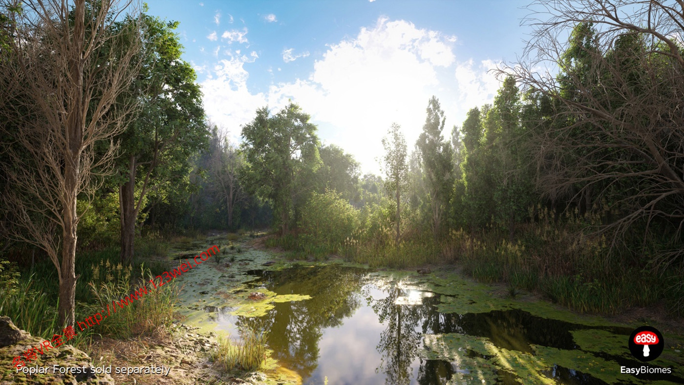 UE5（虚幻引擎5）资源：EasyBiomes 易用生物群落_河流发生器（可生成电影级场景）-名将VR全景博客
