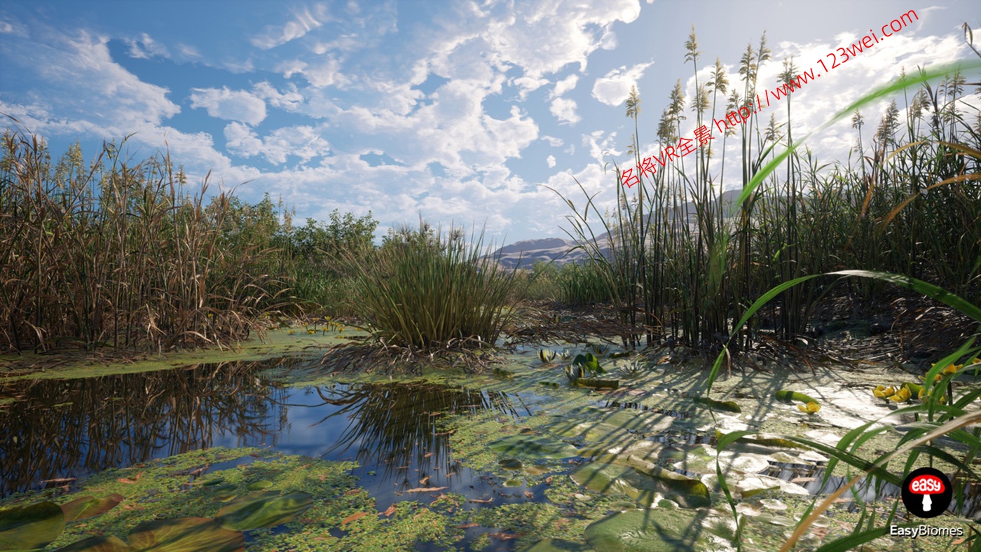 图片[9]-UE5（虚幻引擎5）资源：EasyBiomes 易用生物群落_河流发生器（可生成电影级场景）-名将VR全景博客
