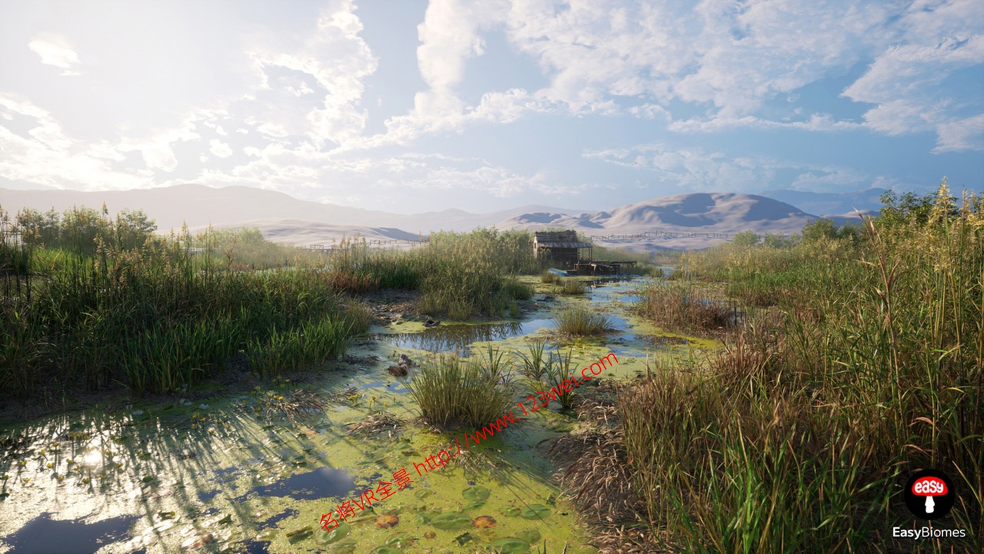 图片[4]-UE5（虚幻引擎5）资源：EasyBiomes 易用生物群落_河流发生器（可生成电影级场景）-名将VR全景博客